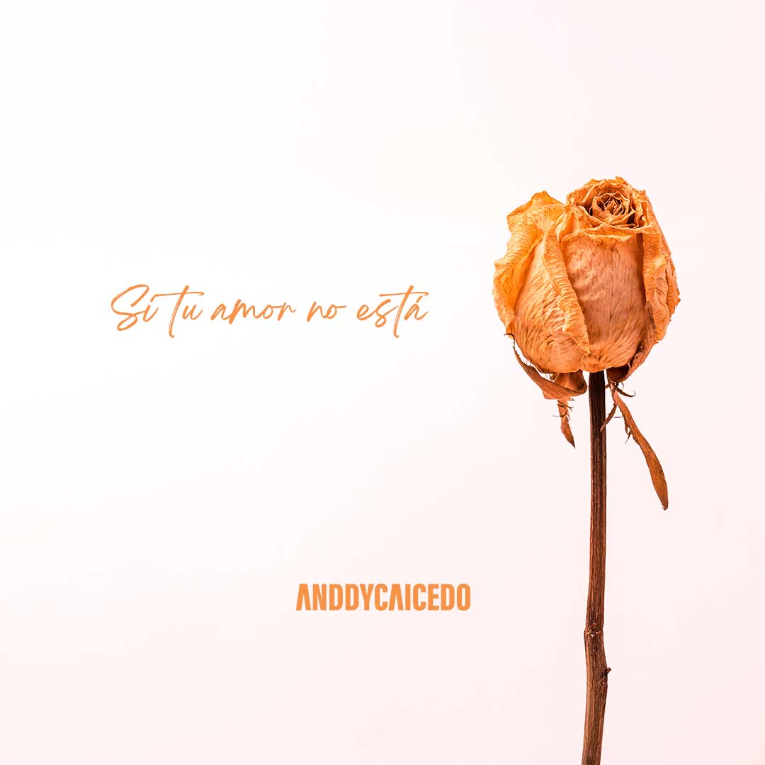 lo-que-se-siente-si-tu-amor-no-esta Bienvenidos