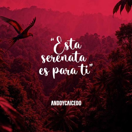 66683f6cd9c118ee811dff3ade390568  Cuando el coraz&oacute;n necesita hablar - Y la pena no lo deja - Anddy Caicedo